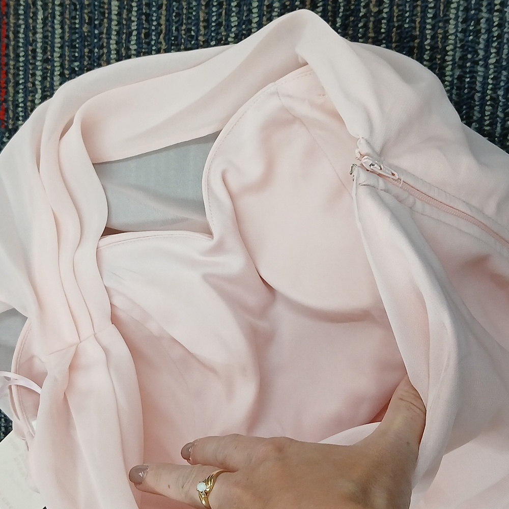 NWT Birdy Pink Kira Chiffon Dress Lg - Picture 6 of 7